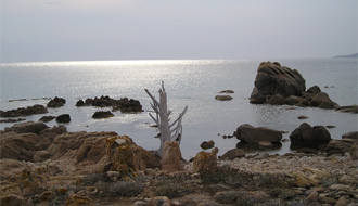 Désert Corse