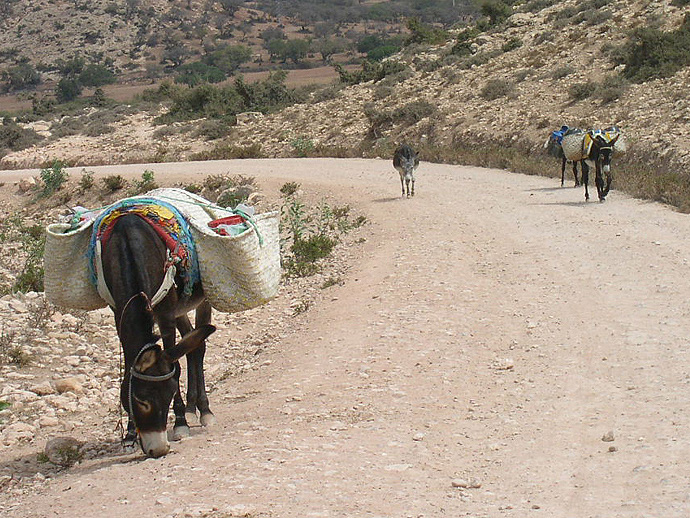 Sur la route d’Imessouan