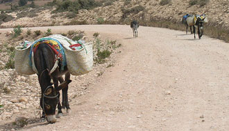 Sur la route d'Imessouan