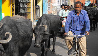 Agra, Inde