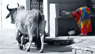 Inde : noir et blanc, couleurs indiennes