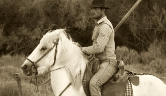 Camargue et gardian