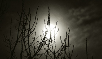 Un soir de pleine lune