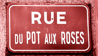 Le pot aux roses