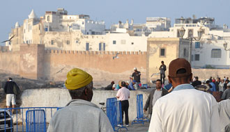 Un poisson nommé muraine