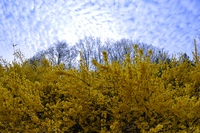 Un air de printemps