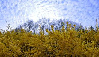 Un air de printemps