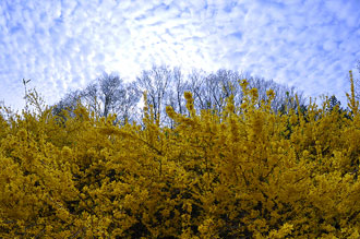 Un air de printemps