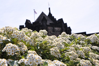 Château d’Edimbourg Château d’Edimbourg