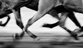 Au trot, au galop