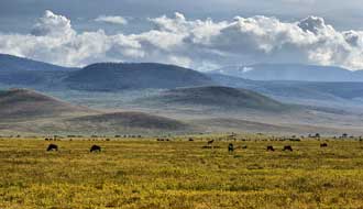 Paysage du Ngorongoro