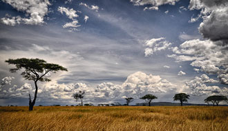 Paysage de Tanzanie