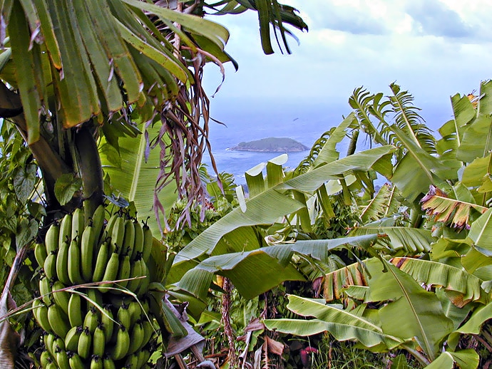 Martinique, La trinité, Morne des Esses