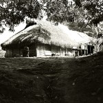 Suriname, maison de village