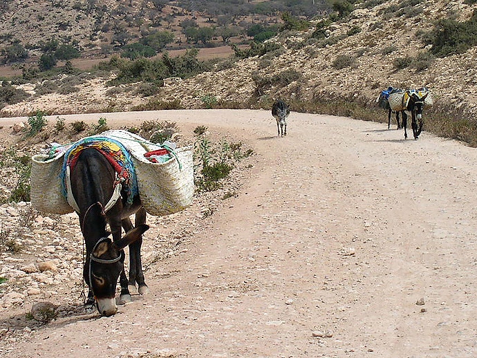 Sur la route d'Imessouan