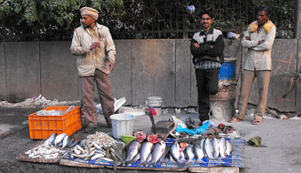 Poissonnerie dans New Dehli