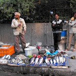 Poissonnerie dans New Dehli