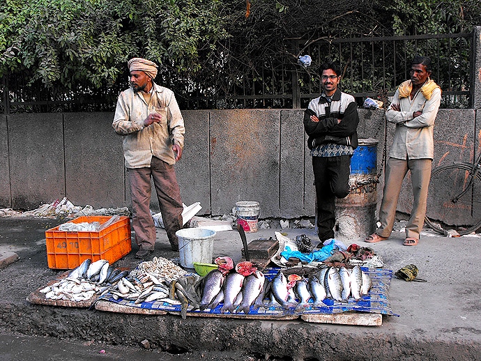 Poissonnerie dans New Dehli