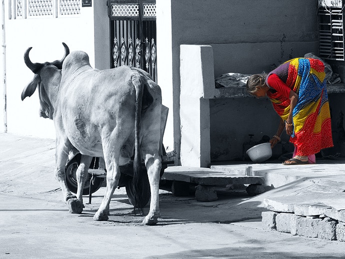 Inde : noir et blanc, couleurs indiennes