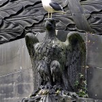 Goéland sur un aigle