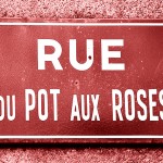 Pot aux Roses