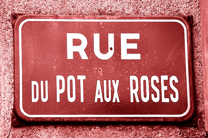 Le pot aux roses