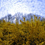 Un air de printemps à Bobigny