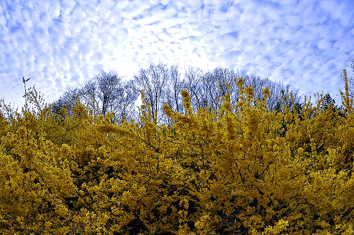 Un air de printemps à Bobigny