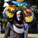 Le Carnaval Tropical de Paris 2011