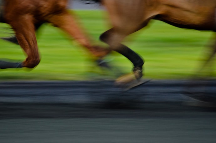 zoom sur les courses hippiques de l'hippodrome Paris Vincennes