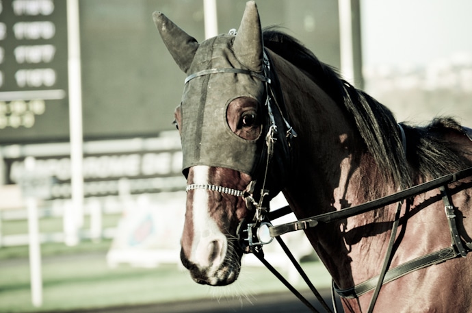 Bonnet d'cheval !