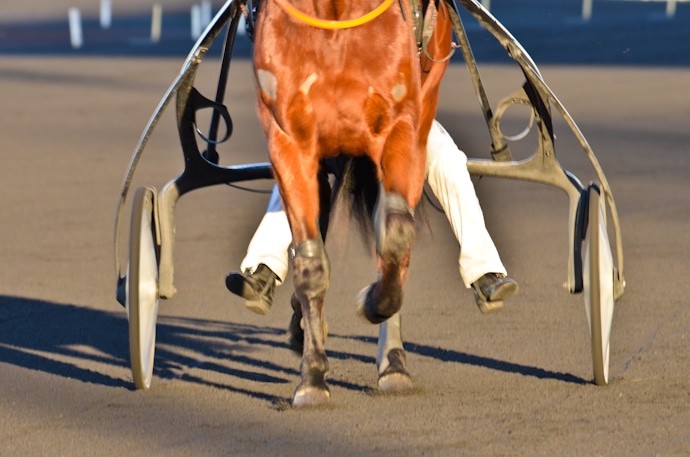 courses hippiques hippodrome Paris Vincennes