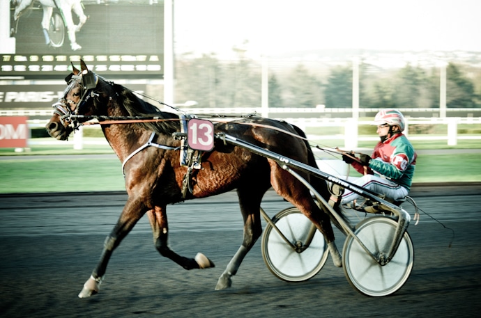 courses hippiques hippodrome Paris Vincennes