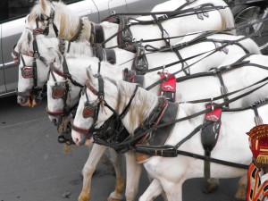 Procession en l'honneur de Shiva