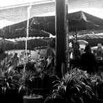 Marché de Cayenne sous une pluie tropicale