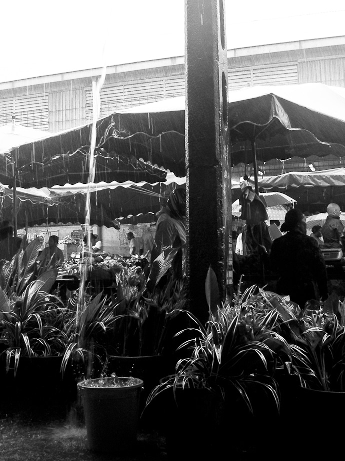 Marché de Cayenne sous une pluie tropicale