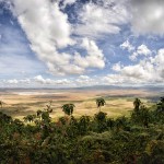 Vue sur le cratère du Ngorongoro