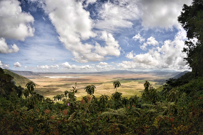 Vue sur le cratère du Ngorongoro