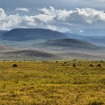 Paysage du Ngorongoro