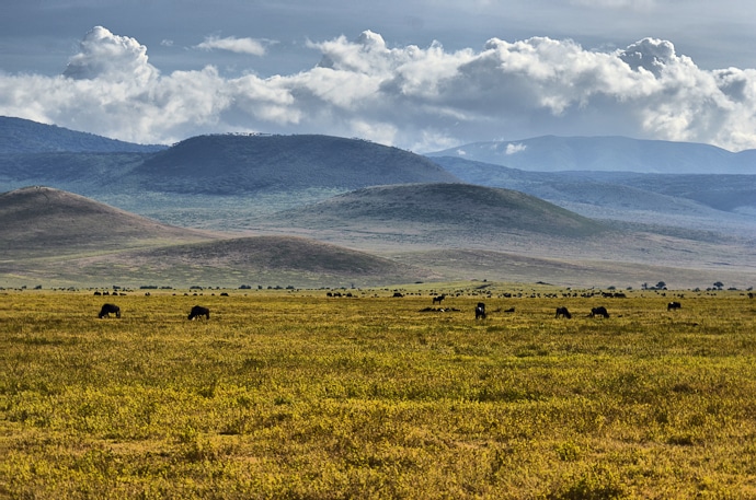 Paysage du Ngorongoro