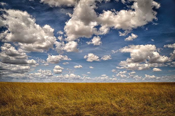 Paysage du Serengeti