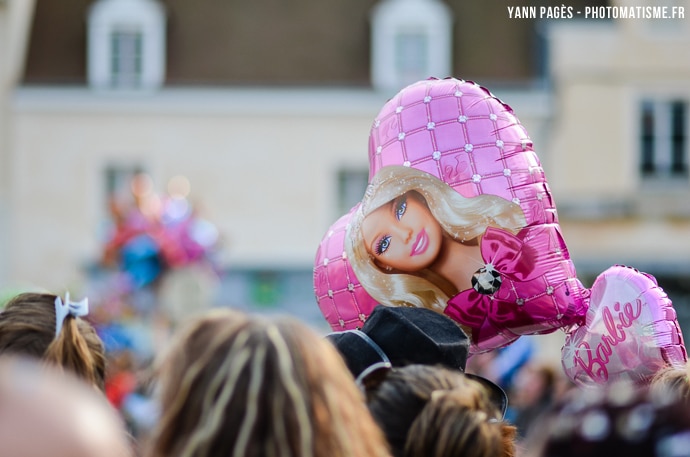 Carnaval de Montargis 2014