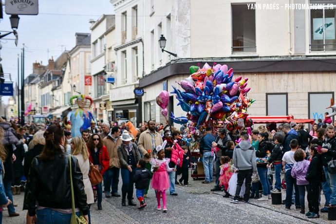 Carnaval de Montargis 2014