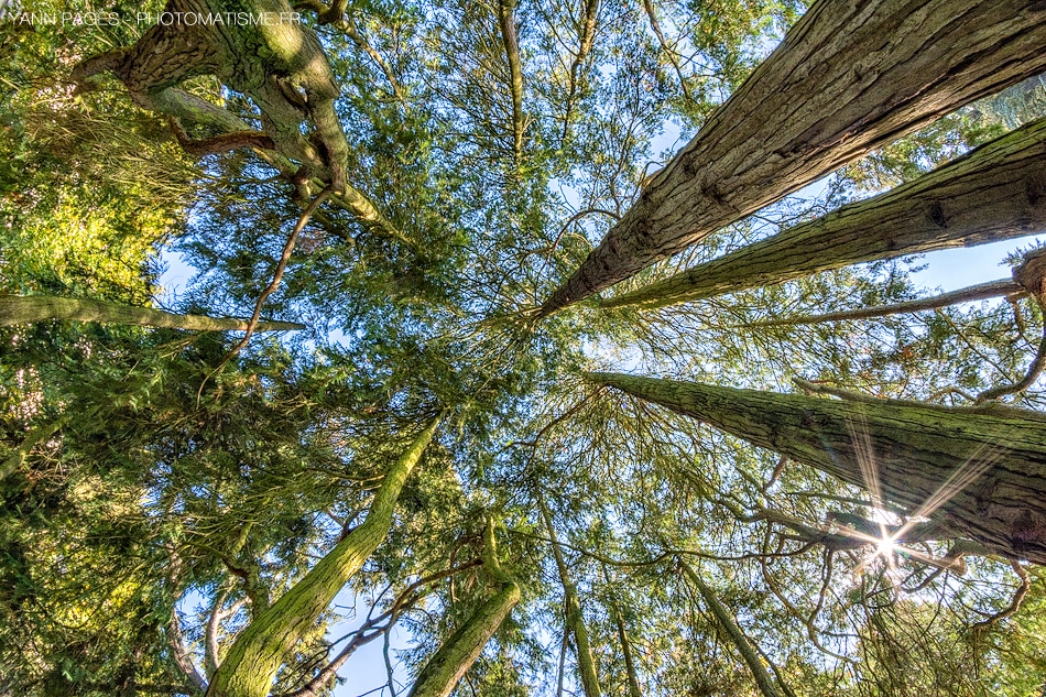 Atelier photo pdc - Yann Pagès - Photomatisme