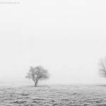 Un jour d'hiver dans le Gâtinais