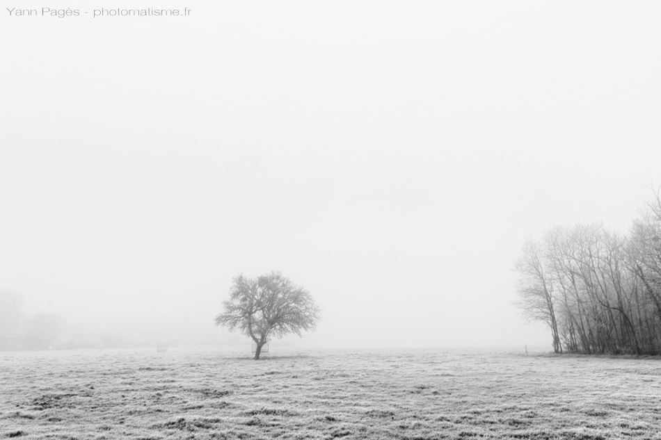 Un jour d'hiver dans le Gâtinais