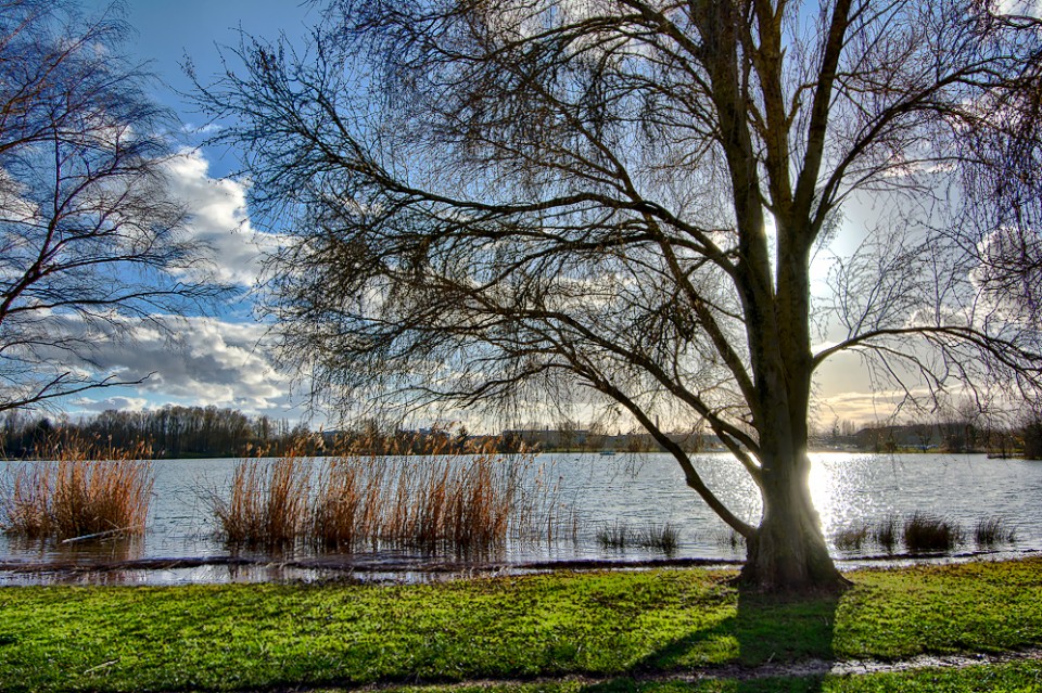 Paysage - Lac de Châlette-sur-Loing