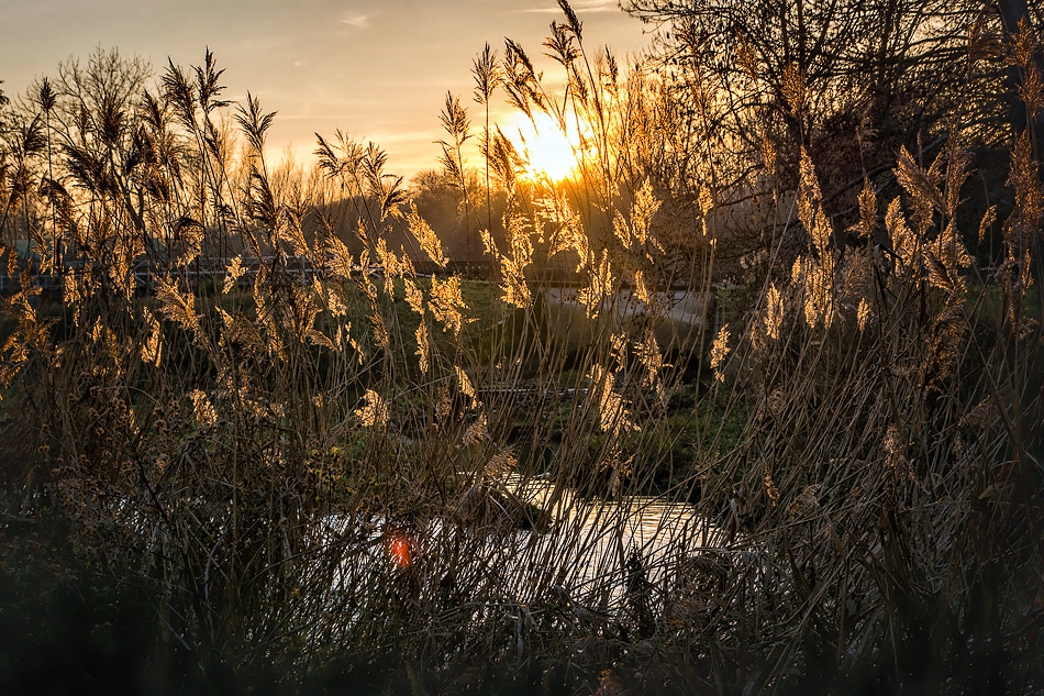 Paysage - Lac de Châlette-sur-Loing