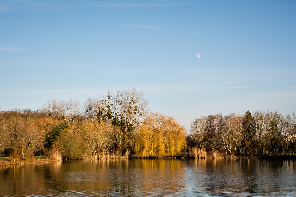 Paysage - Lac de Châlette-sur-Loing