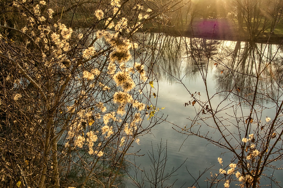 Paysage - Lac de Châlette-sur-Loing